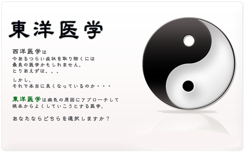 キクイチ薬局 菊一堂鍼灸院 東洋医学　とは